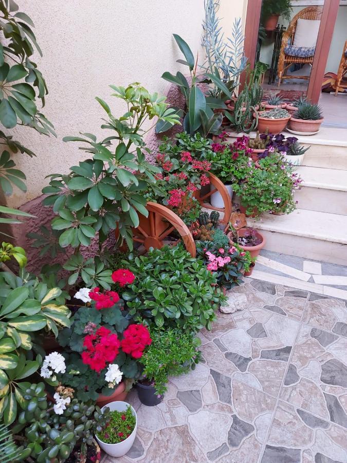 Vila Kodra Tirana Buitenkant foto